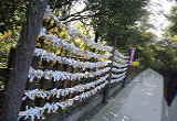 天岩戸神社