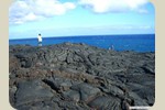 海にまで流れた溶岩