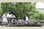 結婚の写真どり